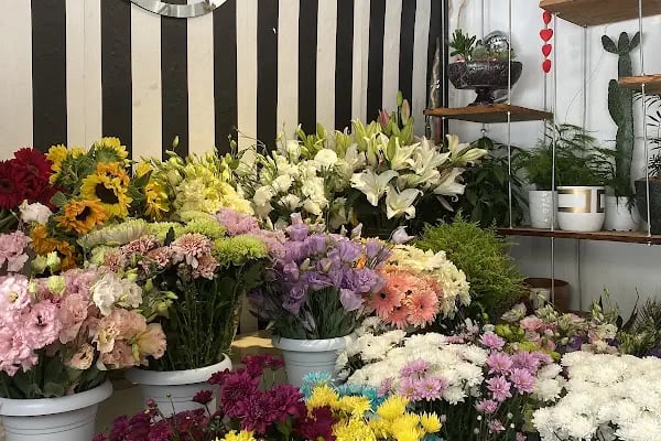 Ceyhan Frida Flowers (çiçekçi) - Resim 19