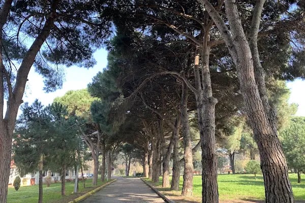 Gebze Teknik Üniversitesi - Fatih - Resim 5