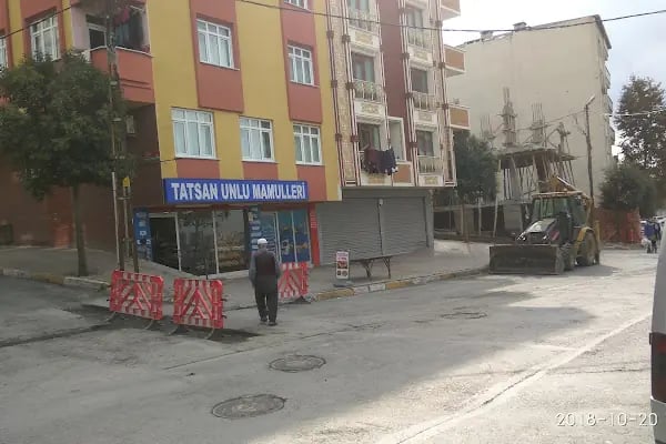 Tatsan Unlu Mamüller - Resim 12