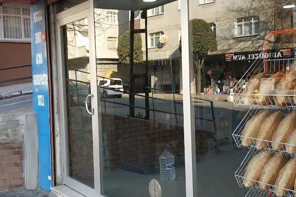 Tatsan Unlu Mamüller - Resim 10
