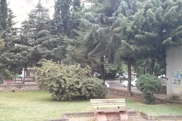 Şelale Parkı - Resim 16