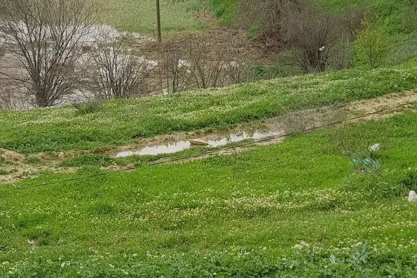 Nahırtepe Mahallesi Muhtarlığı - Resim 5