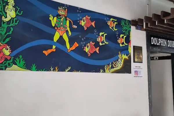Dolphin Dive Center Alanya - Resim 16
