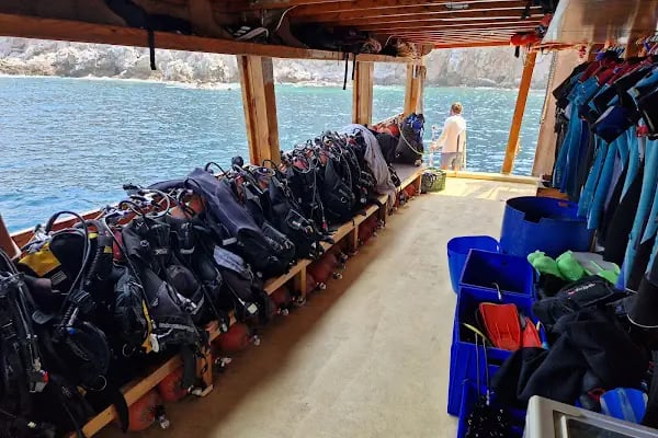 Dolphin Dive Center Alanya - Resim 7