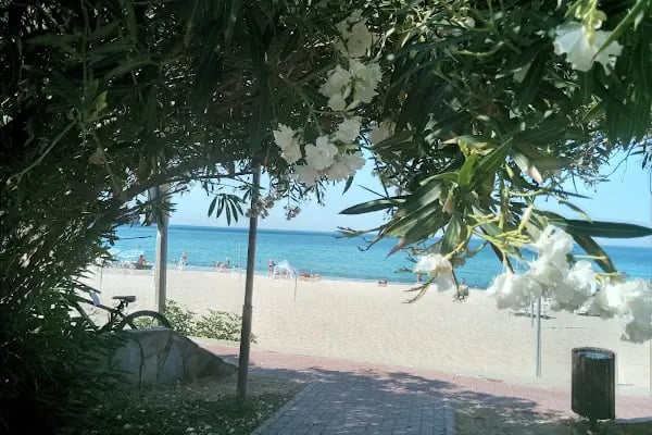 Palm Beach Club Alanya - Resim 15