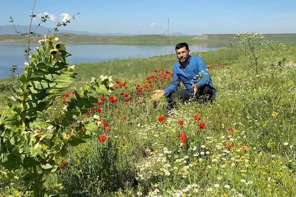 Arslanhane Köyü Muhtarlığı - Resim 2