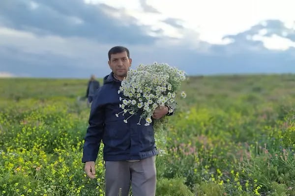 Arslanhane Köyü Muhtarlığı - Resim 9