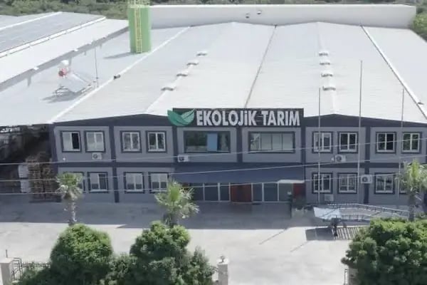 Ekolojik Tarım - Resim 2
