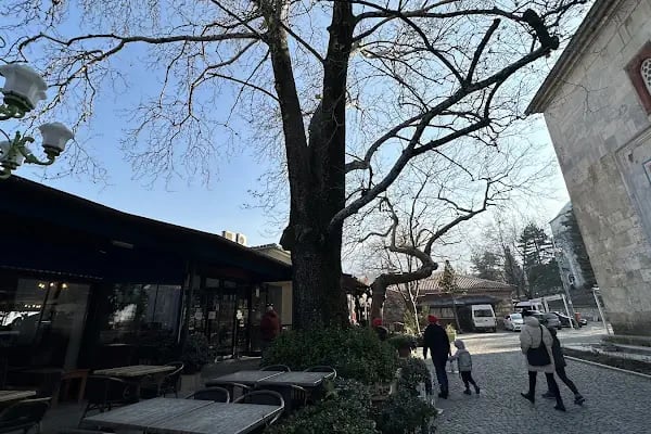 Yüce Hünkar Düğün-Kına-Toplantı Salonları - Resim 16