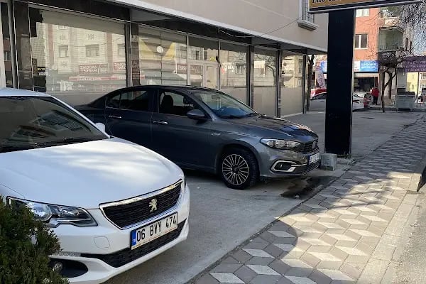 Altınışık grup filo kiralama - Resim 2