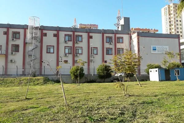 Teiaş Kuzey Adana GİS Tm - Resim 3