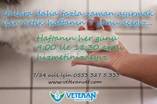 Veteran Veteriner Kliniği - Resim 19