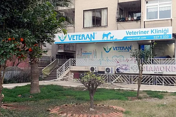 Veteran Veteriner Kliniği - Resim 9
