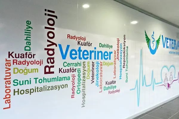 Veteran Veteriner Kliniği - Resim 17
