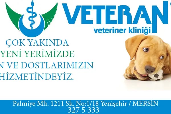 Veteran Veteriner Kliniği - Resim 18