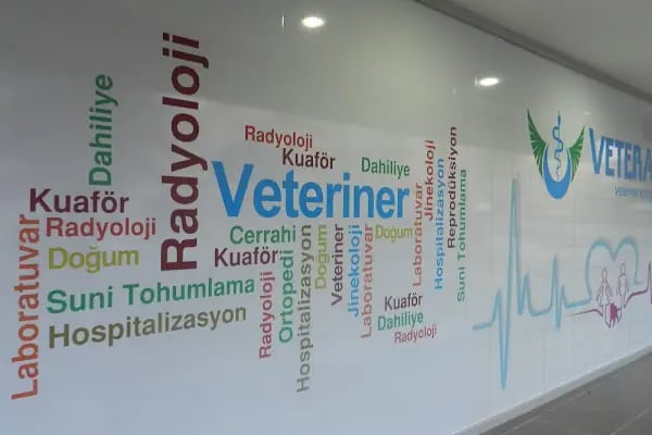 Veteran Veteriner Kliniği - Resim 12