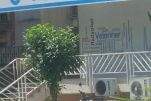 Veteran Veteriner Kliniği - Resim 13