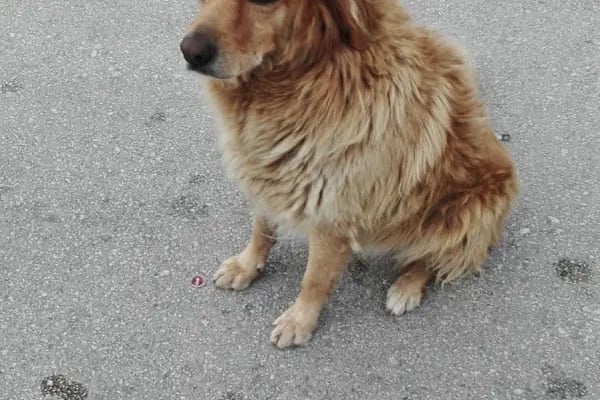Özhan Marketler Zinciri - Bademli - Resim 17