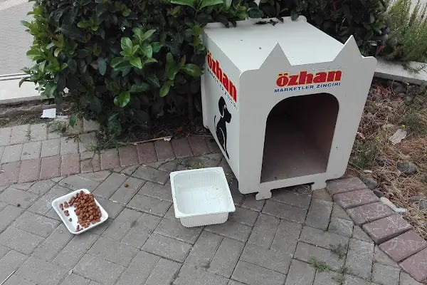 Özhan Marketler Zinciri - Bademli - Resim 15