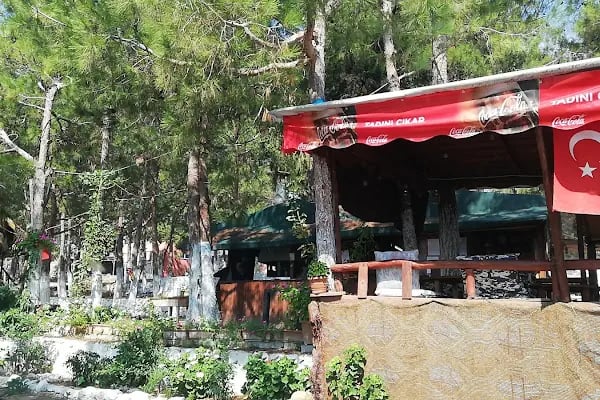 Çamlıbel Tadım Gözleme - Resim 13