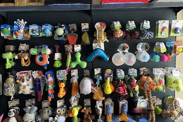 Jet Pet Center pet shop - Resim 17