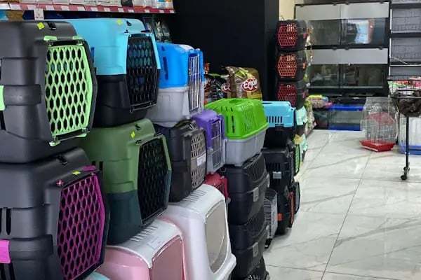Jet Pet Center pet shop - Resim 19