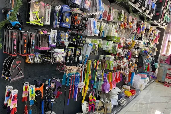 Jet Pet Center pet shop - Resim 14