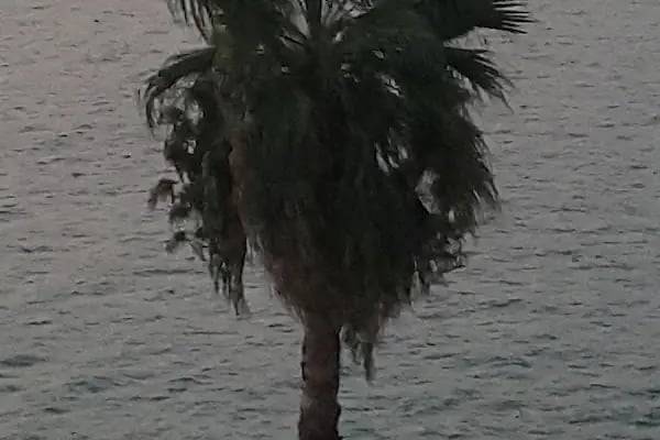Karanfil Hotel - Resim 15