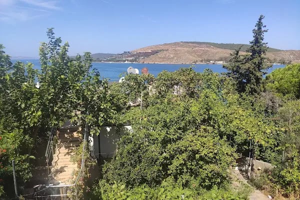 Karanfil Hotel - Resim 5