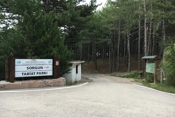 Sorgun Göleti Tabiat Parkı - Resim 20