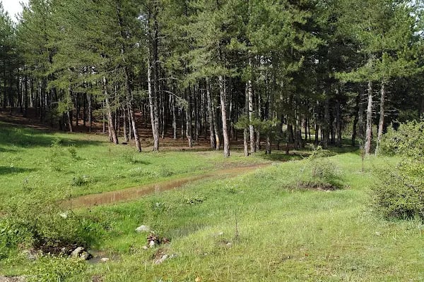 Sorgun Göleti Tabiat Parkı - Resim 6