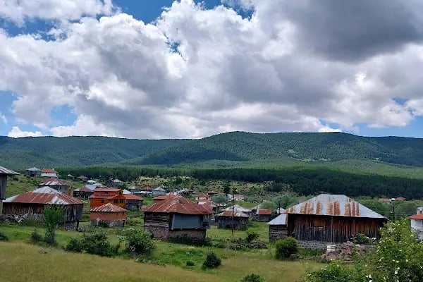 Sorgun Göleti Tabiat Parkı - Resim 9