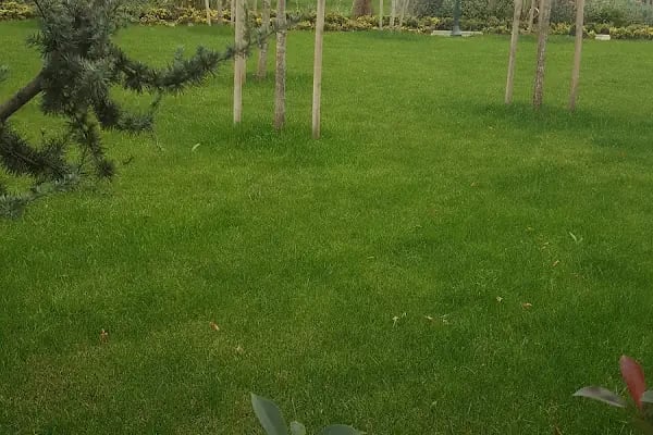 Bağcılar Belediyesi Yeni Hizmet Binası - Resim 17