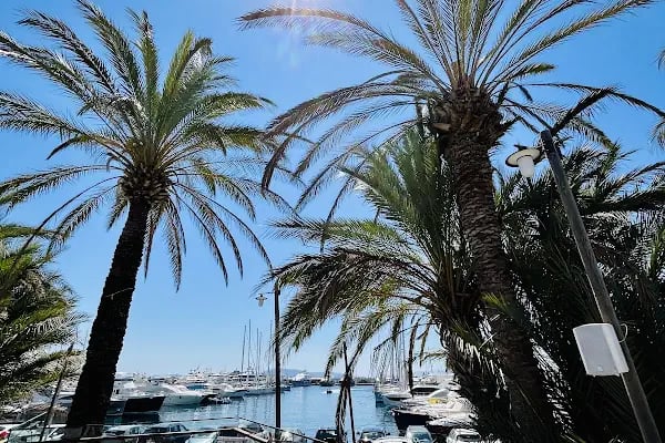 71 Derece Turgutreis Marina - Resim 7