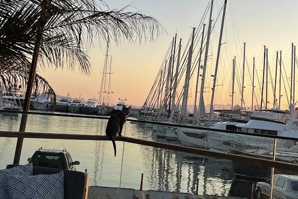 71 Derece Turgutreis Marina - Resim 9