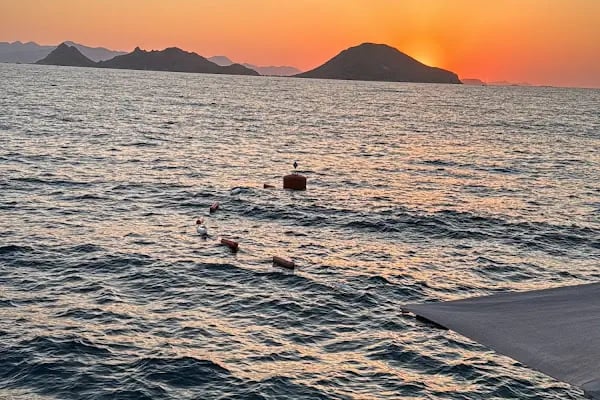 71 Derece Turgutreis Marina - Resim 16