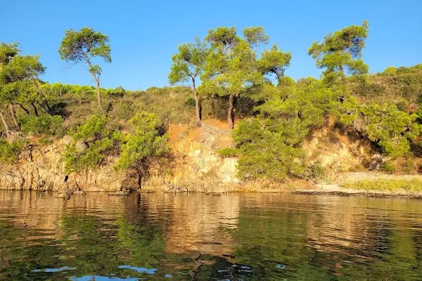 Çam Limanı Plajı - Resim 15