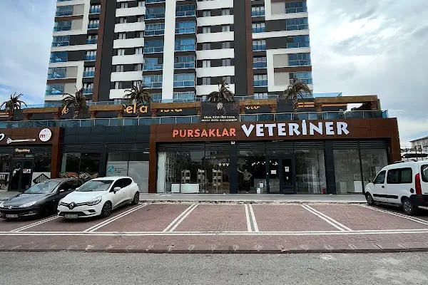 Pursaklar Hayvan Hastanesi ( Pursaklar’ın İlk Veterineri ) - Resim 1