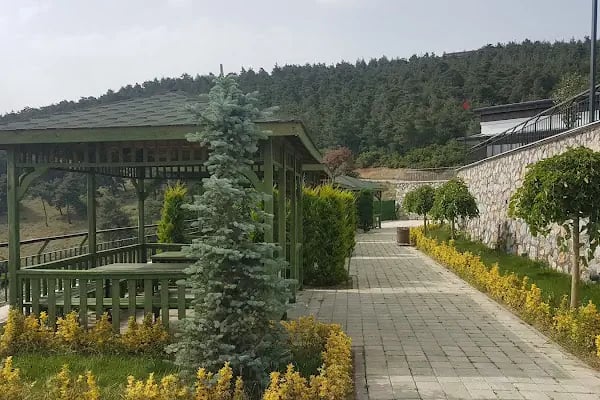 Gemi Seyir Terası - Resim 15