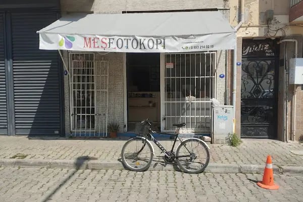 Meşe Tez Düzenleme ve Fotokopi - Resim 4