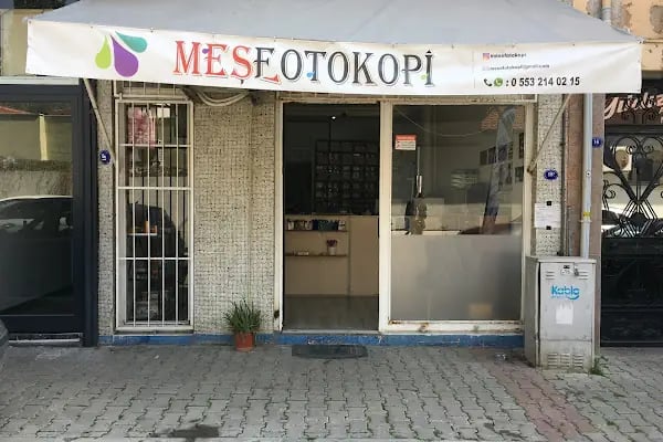 Meşe Tez Düzenleme ve Fotokopi - Resim 2