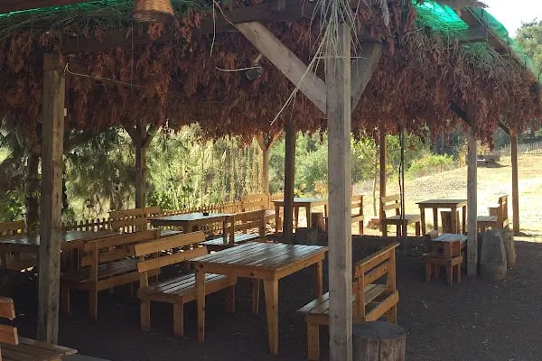 Rina Restaurant - Resim 2