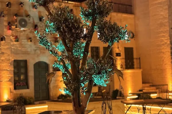 Liora Hotel Şanlıurfa - Resim 16