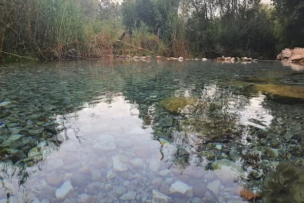Kafi Baba Türbesi - Resim 10