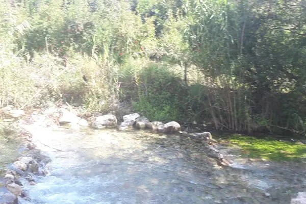 Kafi Baba Türbesi - Resim 15