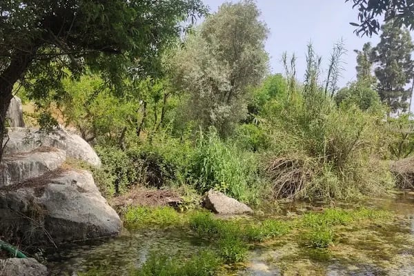 Kafi Baba Türbesi - Resim 14