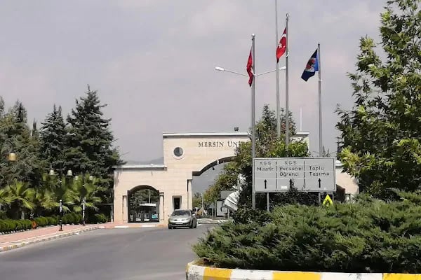 Altın Portakal Cafe - Resim 9