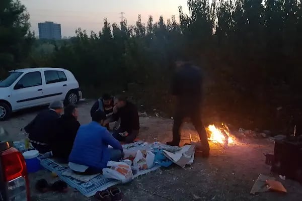 Altın Portakal Cafe - Resim 5