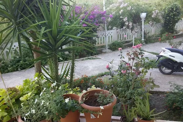 Yağmur Sitesi - Resim 3