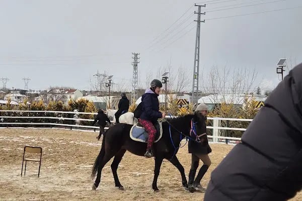 Gölbaşı binicilik merkezi - Resim 6